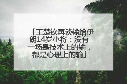 王楚钦再谈输给伊朗14岁小将：没有一场是技术上的输，都是心理上的输