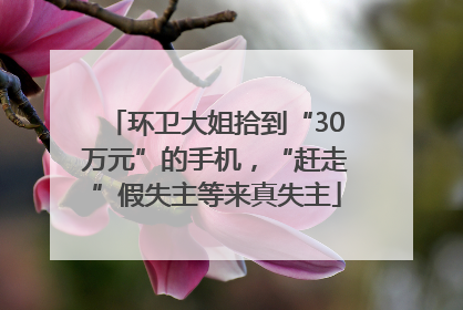 环卫大姐拾到“30万元”的手机，“赶走”假失主等来真失主