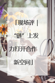 现场评｜“链”上发力打开合作新空间