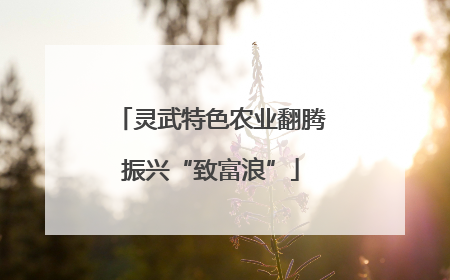 灵武特色农业翻腾振兴“致富浪”