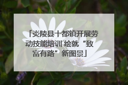 炎陵县十都镇开展劳动技能培训 绘就“致富有路”新图景