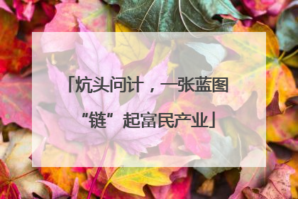 炕头问计，一张蓝图“链”起富民产业