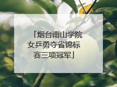 烟台南山学院女乒勇夺省锦标赛三项冠军