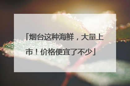 烟台这种海鲜，大量上市！价格便宜了不少