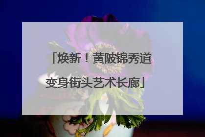 焕新！黄陂锦秀道变身街头艺术长廊