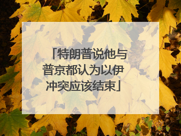 特朗普说他与普京都认为以伊冲突应该结束