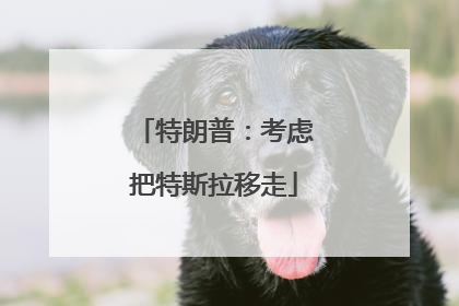 特朗普：考虑把特斯拉移走