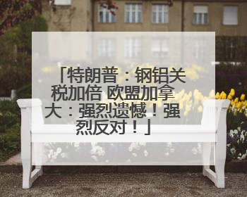 特朗普：钢铝关税加倍 欧盟加拿大：强烈遗憾！强烈反对！