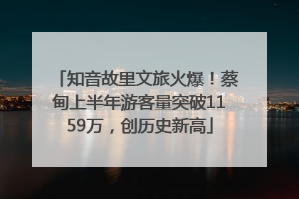 知音故里文旅火爆！蔡甸上半年游客量突破1159万，创历史新高