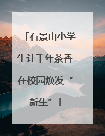 石景山小学生让千年茶香在校园焕发“新生”
