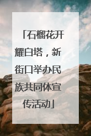 石榴花开耀白塔，新街口举办民族共同体宣传活动