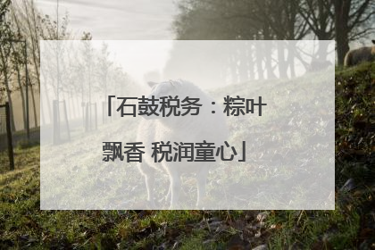 石鼓税务：粽叶飘香 税润童心