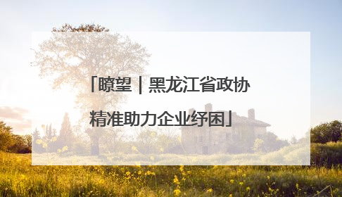 瞭望｜黑龙江省政协精准助力企业纾困