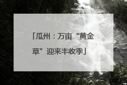 瓜州：万亩“黄金草”迎来丰收季