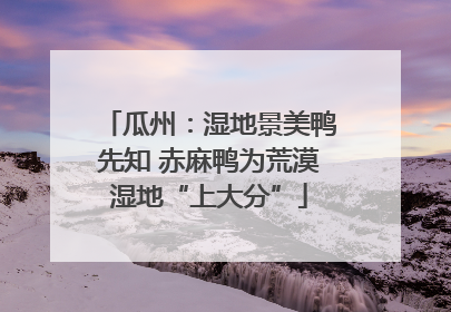 瓜州：湿地景美鸭先知 赤麻鸭为荒漠湿地“上大分”