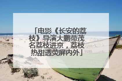 电影《长安的荔枝》导演大鹏带茂名荔枝进京，荔枝热甜透荧屏内外