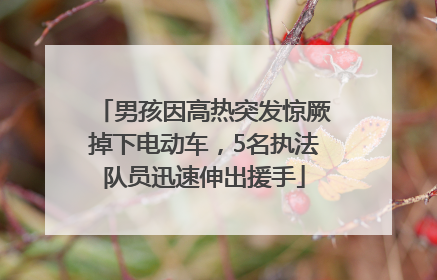 男孩因高热突发惊厥掉下电动车，5名执法队员迅速伸出援手