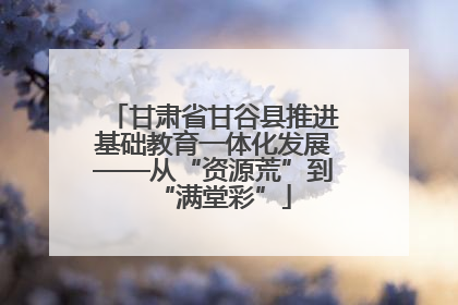甘肃省甘谷县推进基础教育一体化发展——从“资源荒”到“满堂彩”