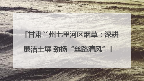 甘肃兰州七里河区烟草：深耕廉洁土壤 劲扬“丝路清风”