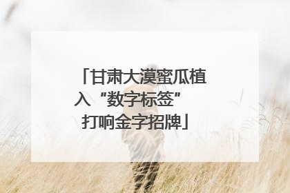 甘肃大漠蜜瓜植入“数字标签” 打响金字招牌