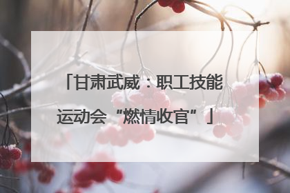 甘肃武威：职工技能运动会“燃情收官”