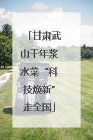 甘肃武山千年浆水菜“科技焕新”走全国