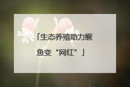 生态养殖助力鳜鱼变“网红”