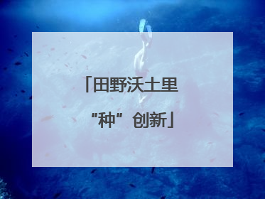 田野沃土里“种”创新