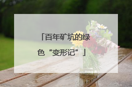百年矿坑的绿色“变形记”