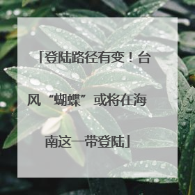 登陆路径有变！台风“蝴蝶”或将在海南这一带登陆