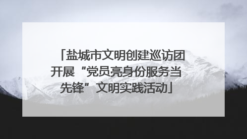 盐城市文明创建巡访团开展“党员亮身份服务当先锋”文明实践活动