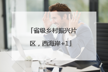 省级乡村振兴片区，西海岸+1