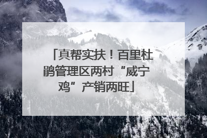 真帮实扶！百里杜鹃管理区两村“威宁鸡”产销两旺