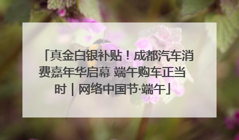 真金白银补贴！成都汽车消费嘉年华启幕 端午购车正当时｜网络中国节·端午
