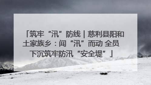 筑牢“汛”防线｜慈利县阳和土家族乡：闻“汛”而动 全员下沉筑牢防汛“安全堤”