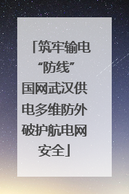 筑牢输电“防线” 国网武汉供电多维防外破护航电网安全