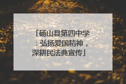 砀山县第四中学：弘扬爱国精神，深耕民法典宣传