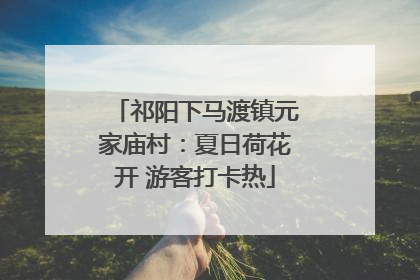 祁阳下马渡镇元家庙村：夏日荷花开 游客打卡热