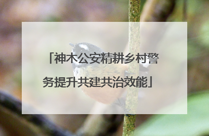 神木公安精耕乡村警务提升共建共治效能