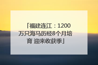 福建连江：1200万只海马历经8个月培育 迎来收获季