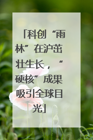 科创“雨林”在沪茁壮生长，“硬核”成果吸引全球目光