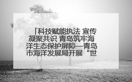 科技赋能执法 宣传凝聚共识 青岛筑牢海洋生态保护屏障—青岛市海洋发展局开展“世界海洋日”和“全国海洋宣传日”宣传活动