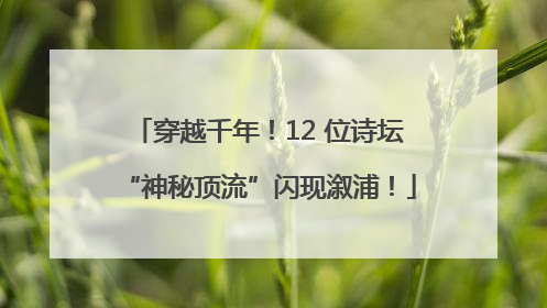 穿越千年！12 位诗坛“神秘顶流”闪现溆浦！