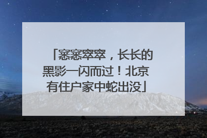 窸窸窣窣，长长的黑影一闪而过！北京有住户家中蛇出没