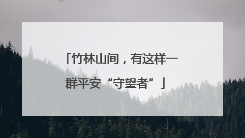 竹林山间，有这样一群平安“守望者”