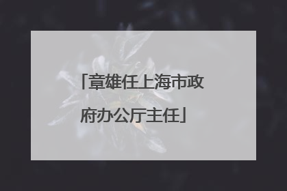 章雄任上海市政府办公厅主任