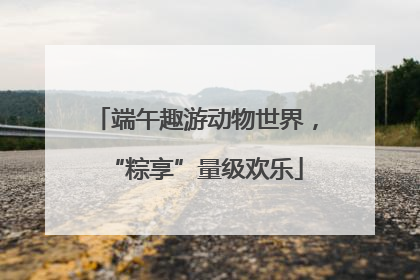 端午趣游动物世界，“粽享”量级欢乐