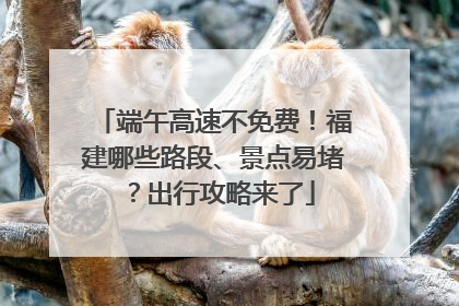 端午高速不免费！福建哪些路段、景点易堵？出行攻略来了