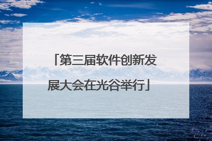 第三届软件创新发展大会在光谷举行
