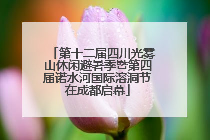 第十二届四川光雾山休闲避暑季暨第四届诺水河国际溶洞节在成都启幕